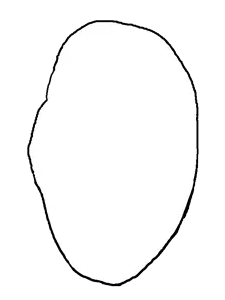 198881 - soybooru.com - 1soyjaks angry bald closed_mouth eyebrows forehead_lines frown frowning gapejak glasses head looking_to_the_left no_beard no_stubble shaved soyjak template transparent_background white_skin.png