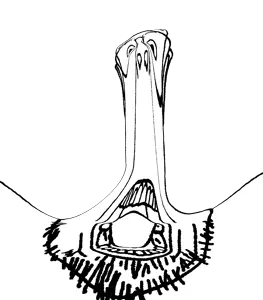 Front_facing_gws copy.png
