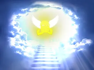 IMG_0225.png