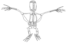 fingerboy_skeleton.png