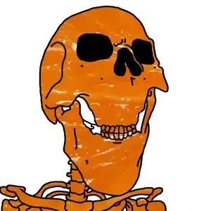 Froot skeletonjak.png