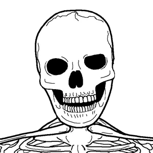 fluoridejakskeleton.png