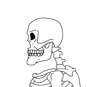Perceptive Chud Side Profile skeleton.png