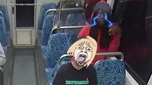 imageedit_5_3708913588.png