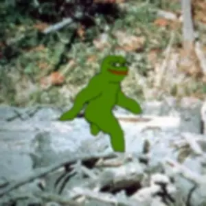 whats-the-value-of-this-pepe-should-i-sell-it-v0-AWjBceS6K5I8aMAfcOOjqSh8UEbnBHvqjIaTPtl2pUg.jpg