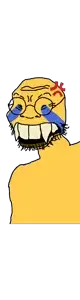 coonsioko.png