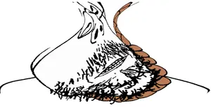 Hanging_scholar copy.png