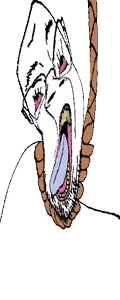 RenewedACK copy.png