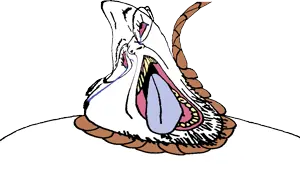 sss.png
