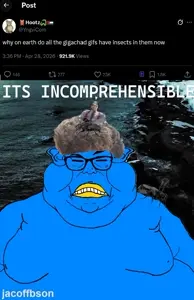 flyy.jpg