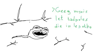 ClipboardImage.png