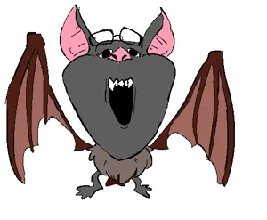peter1.png