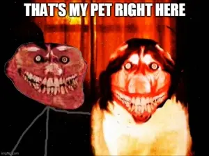 6fq07l.jpg