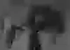 219078 - soybooru.com - black_and_white gigachad gigafly large low_quality terachad.mp4