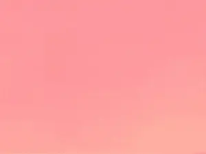 280148904.gif