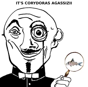agassizii.png