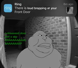 IMG_7364.png