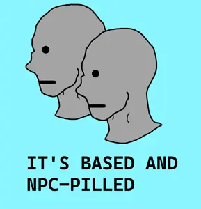 ITS BASED AND NPC PILLED.png