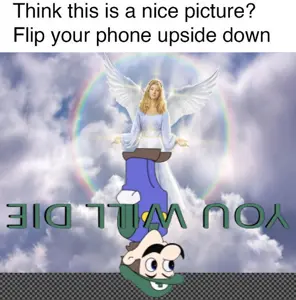 IMG_0050.png