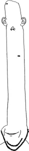 earr.png