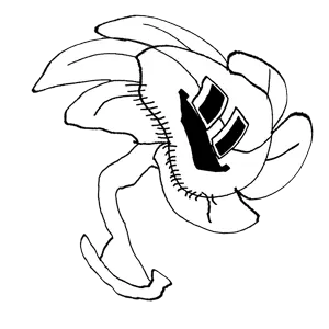 floweyjak twisted.png