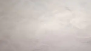0001-1042.mp4