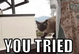 lolcats.gif