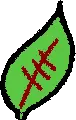 broot leaf.png