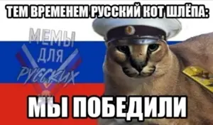 SZ017ZBCAWXNzqXY_yzsLH3pCUB_we-4s4tlafvhkxbgd7pjUqmfCxPg7iU7YxKHEXk7jHS9XWs1DqLhw7i-gs7m.jpg