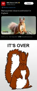 itsoversquirel.png