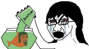 incomprehensible matchajak.png