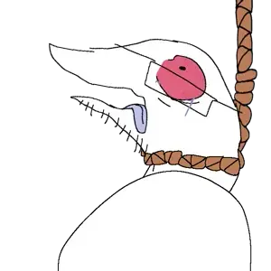 Untitled5434_20260504041127.png