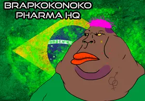 BRAPNOKO.png