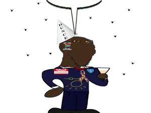 dsdssss.png