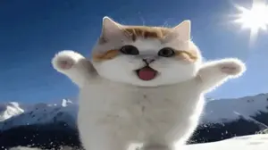 Catjaks.png
