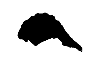 imagen_2026-05-05_002050433.png