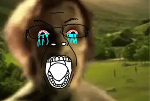 bernd.png