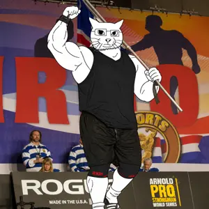 catjak.png