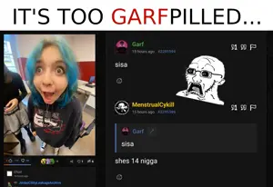 garfpill.png