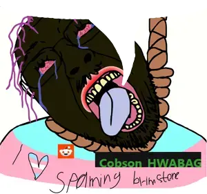 cobsonhwabag.png