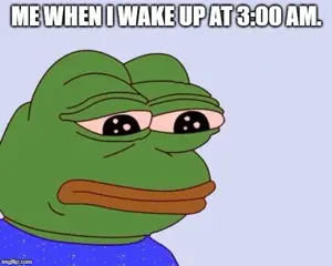 3qzd3h.jpg
