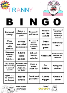 T_bingo_imp.png