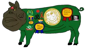 Rohingyapig.png