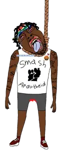 wholetmibrapout.png