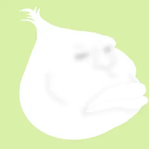 meximutt, brazilmutt, closed mouth, green background, looking to the right, no glasses, onion, profile picture, shading, shadow