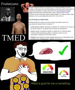 TMED FruitaryanWIN.mp4