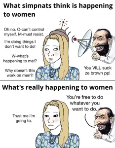 1778187513739774.jpg