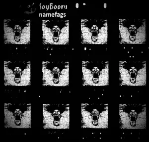 IMG_1333.jpeg