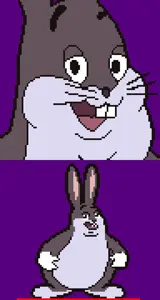 Selection.png