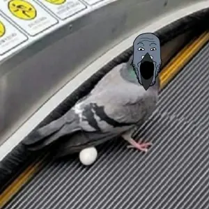 pigeonplier.png